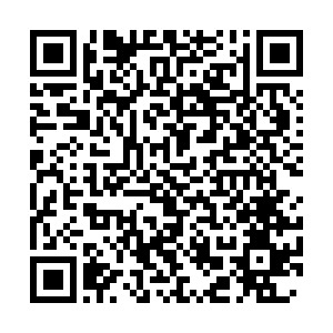 寵物品牌玩轉(zhuǎn)北美社群營銷：上線首日破5000美金，新用戶激增427%！